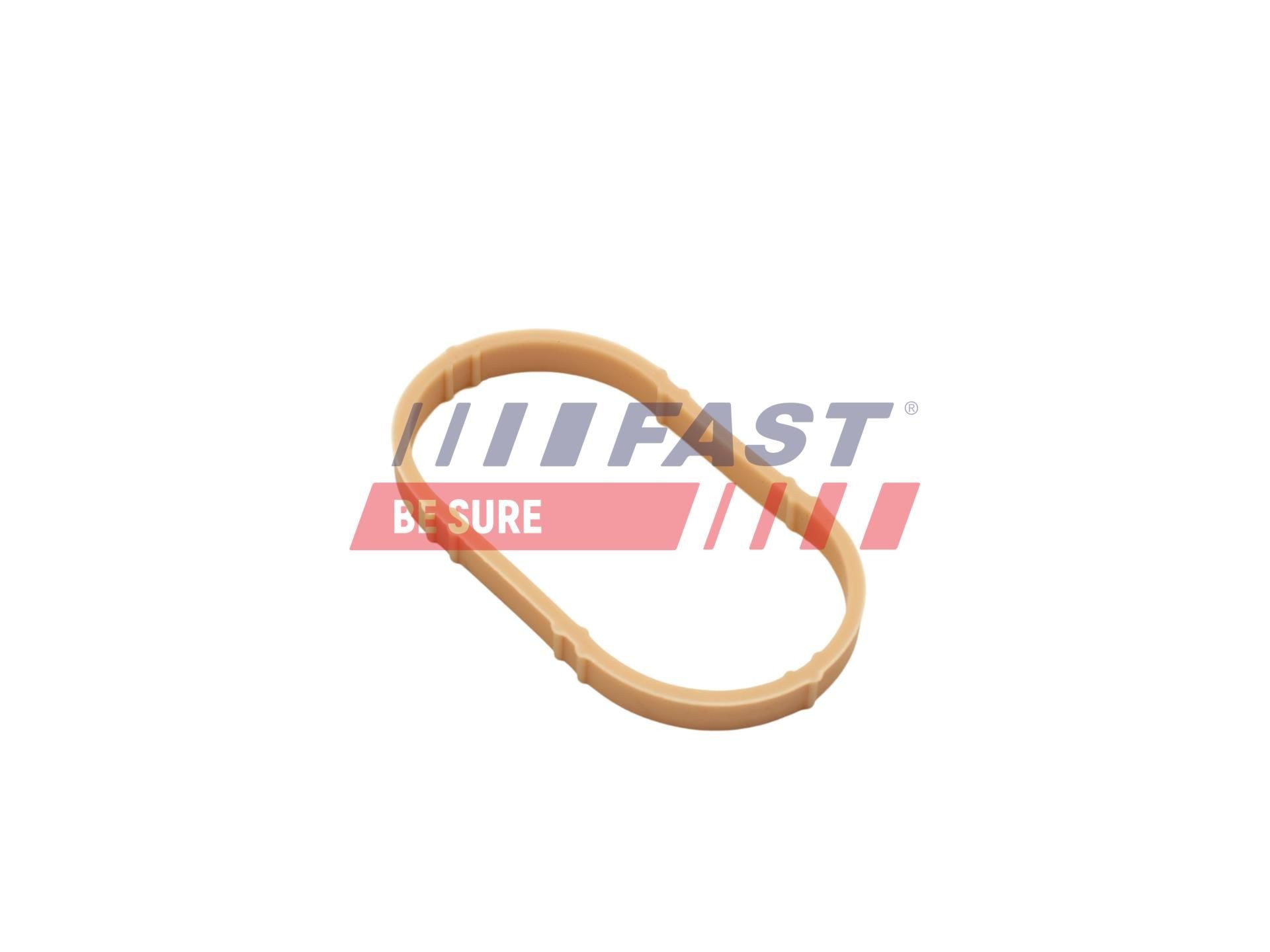 FAST Tetning, innsugningsmanifold FT49461 FT49461 Innsugsmanifold pakning RENAULT CLIO FAST