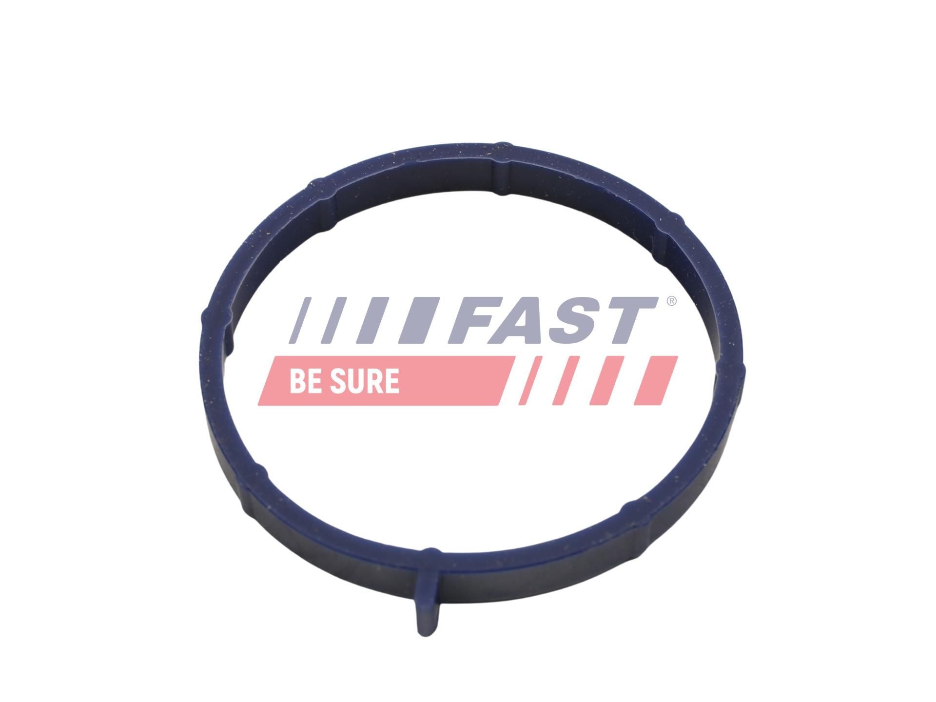 FAST Tetning, innsugningsmanifold FT49467 Innsugspakning FAST CLIO FT49467 billige
