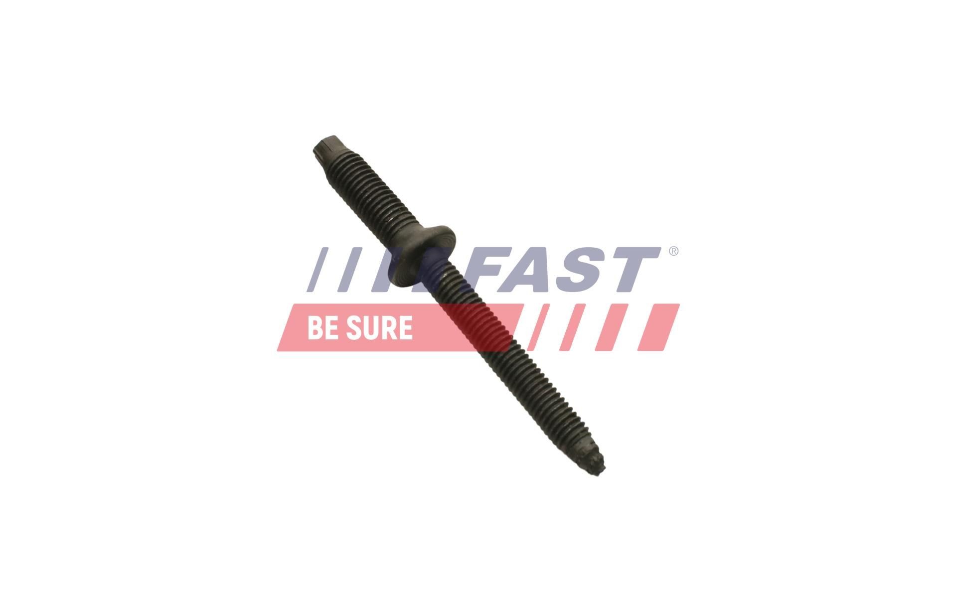 FAST Βίδα, βάση του μπεκ FT51602 FT51602 Θερμομονωτικός δίσκος, σύστημα ψεκασμού CITROËN AX FAST
