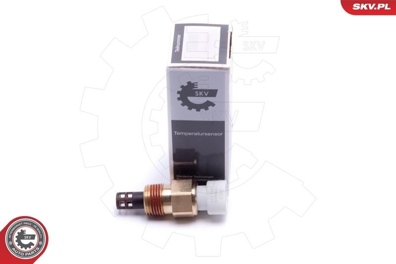 ESEN SKV Sensor, temperatuur binnenkomende lucht 17SKV678 17SKV678 Inlaatlucht temperatuur sensor CITROËN C3 ESEN SKV