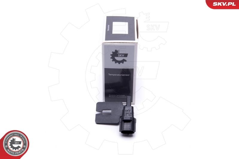 ESEN SKV Sonde de température extérieure 17SKV705 Sonde temperature exterieur ESEN SKV A2 17SKV705 pas cher