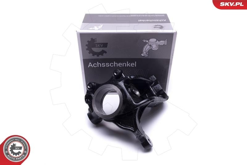 Hjulspindel, hjulophæng ESEN SKV 47SKV601 ESEN SKV 47SKV601: Styrespindel Citroen C3 2008