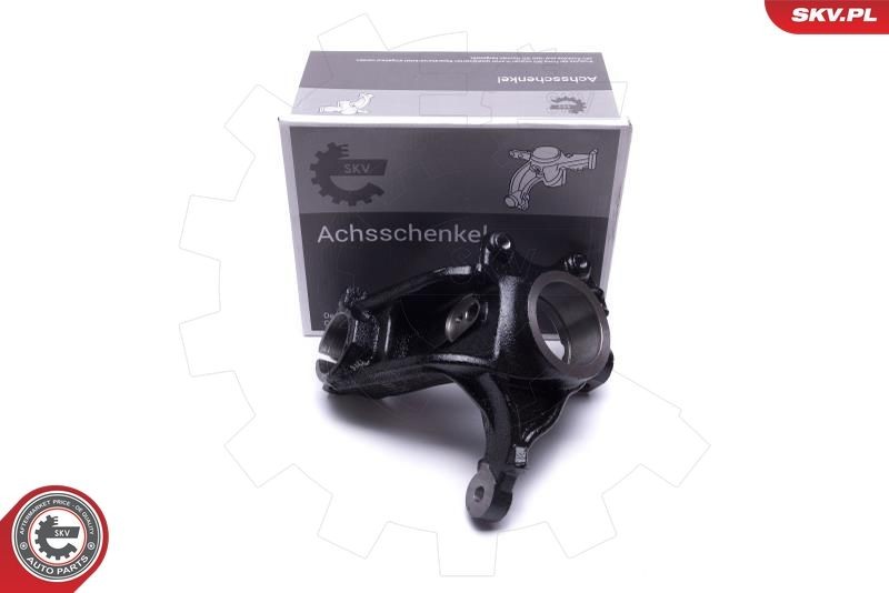 ESEN SKV Fuseestuk 47SKV602 Peugeot 206 Fuseehuis ESEN SKV 47SKV602