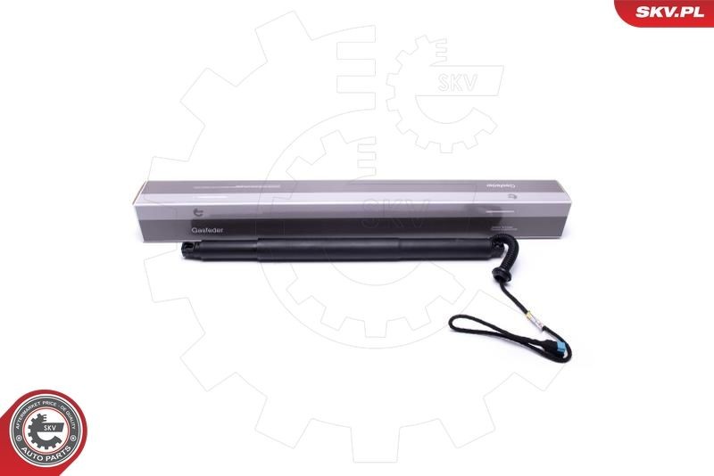 Moteur électrique, hayon ESEN SKV 52SKV935 ESEN SKV 52SKV935 Vérin de hayon BMW X6 2023