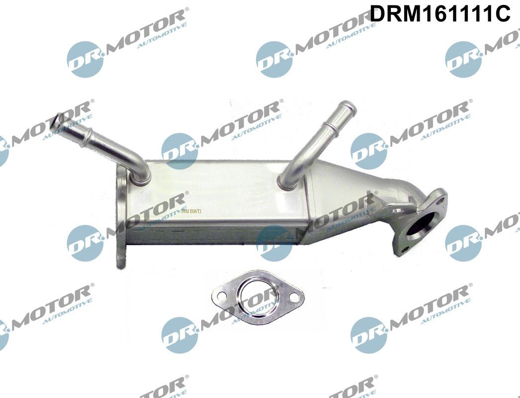 DR.MOTOR AUTOMOTIVE EGR-jahuti DRM161111C DR.MOTOR AUTOMOTIVE DRM161111C EGR jahuti Peugeot Boxer 250 Van hind