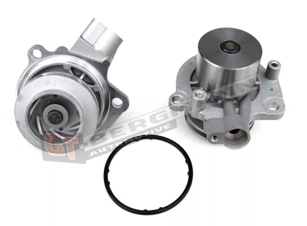 GT-BERGMANN Vannpumpe GT16-002 Vannpumpe GT-BERGMANN 3-serie GT16-002 billige