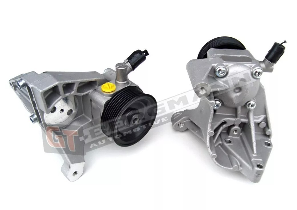 GT-BERGMANN Servopumpe GT32-001 Styreservopumpe GT-BERGMANN FORD GT32-001