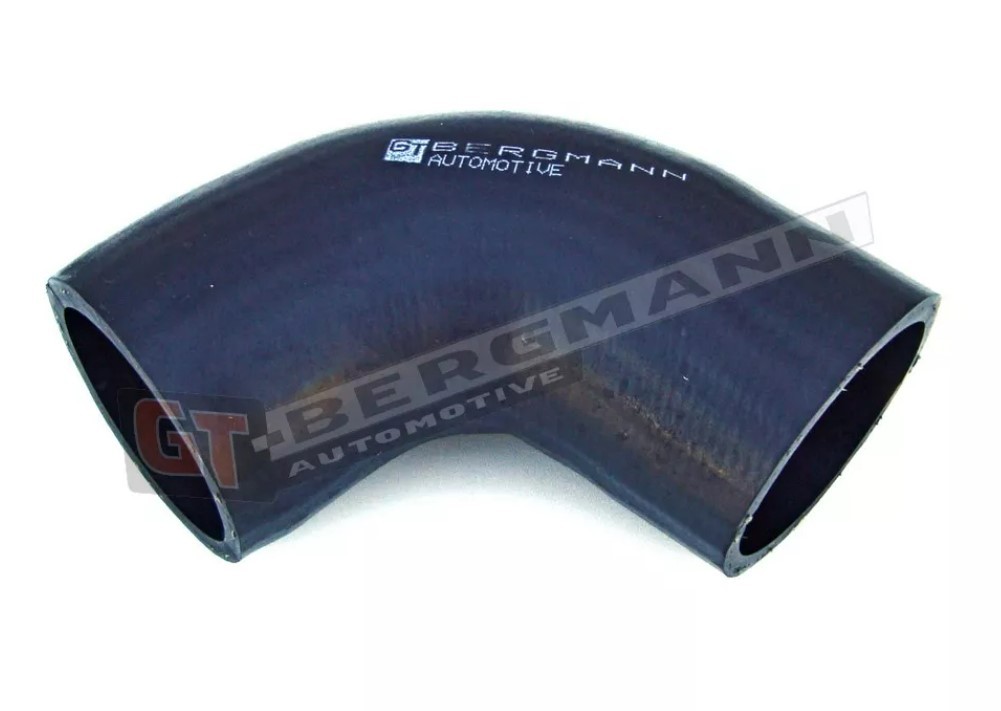 Kompressoriõhuvoolik GT-BERGMANN GT52-029 GT-BERGMANN GT52-029 FORD FOCUS 2001 Laadimisõhu voolik