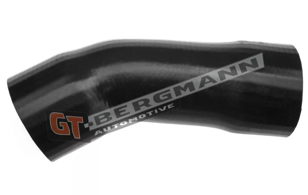 Ladeluftschlauch GT-BERGMANN GT52-119 GT-BERGMANN GT52-119 Ladedruckschlauch VW CADDY 2002 Kosten