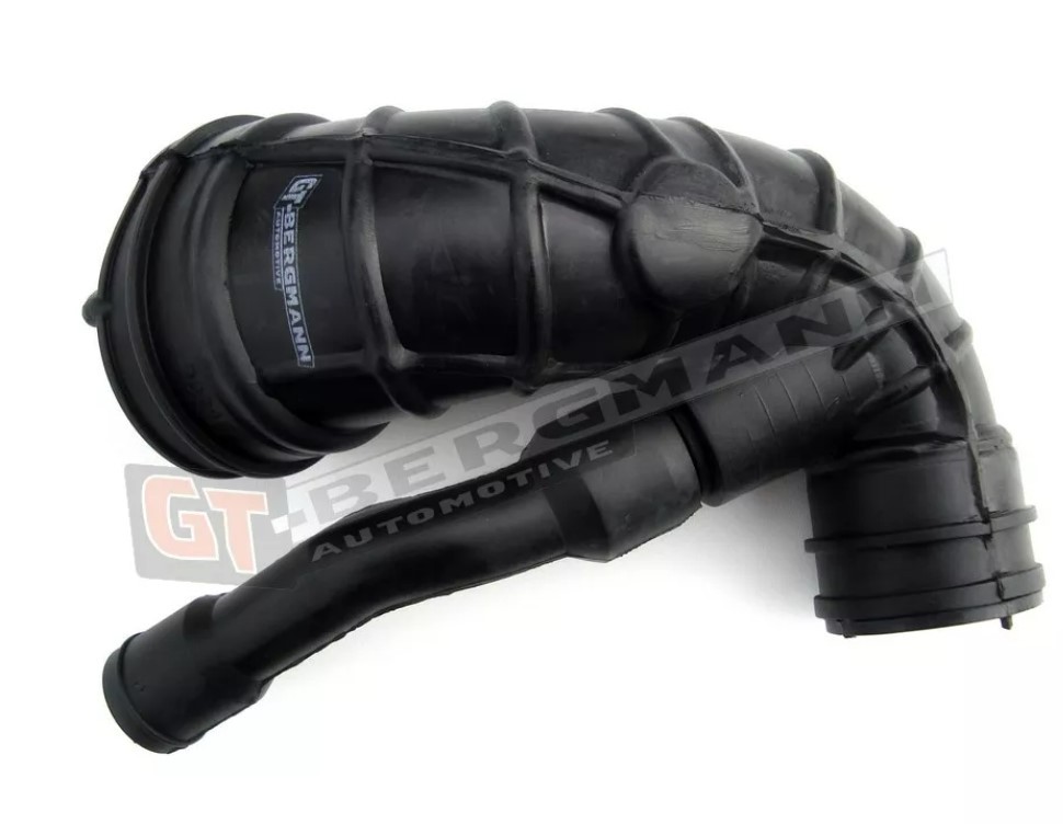GT-BERGMANN Insugsslang GT52-134 PEUGEOT Expert I Skåpbil Insug, luftfilter GT-BERGMANN GT52-134