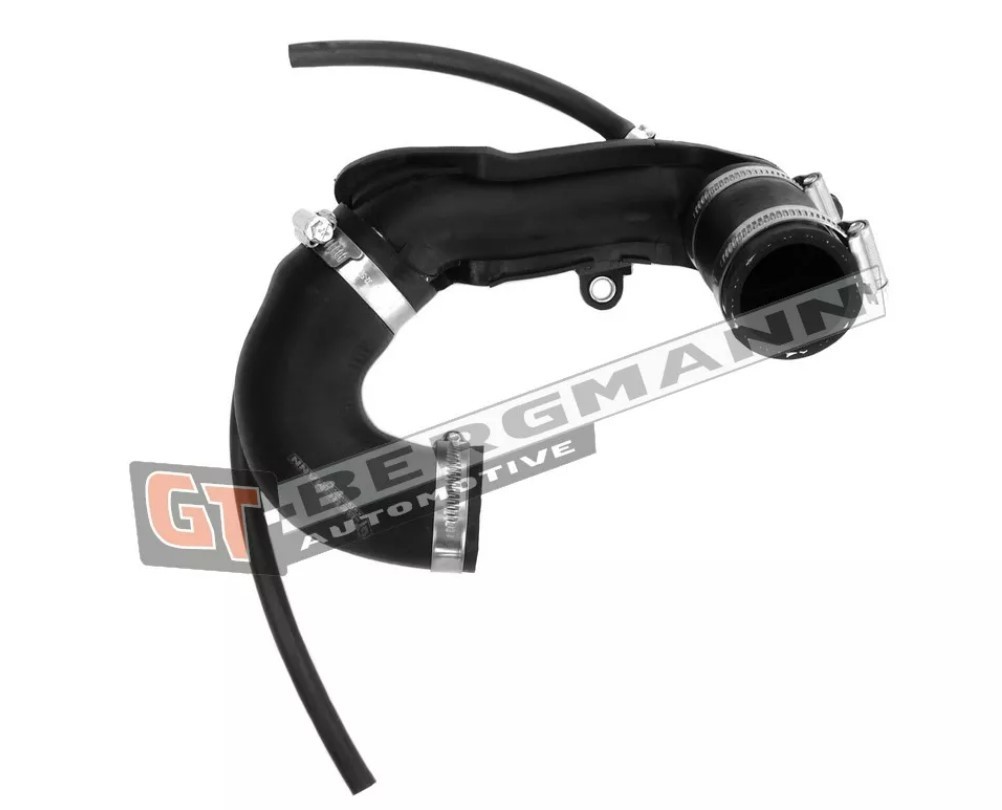 GT-BERGMANN Gaine de suralimentation GT52-250 prix Durite de turbo Dacia LS_ GT52-250 GT-BERGMANN