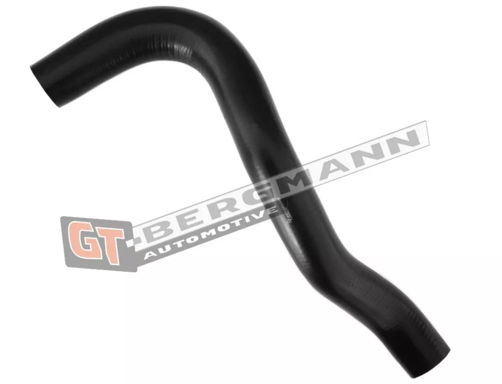 GT-BERGMANN Laddluftslang GT52-274 GT-BERGMANN GT52-274 Laddluftslang SEAT IBIZA original