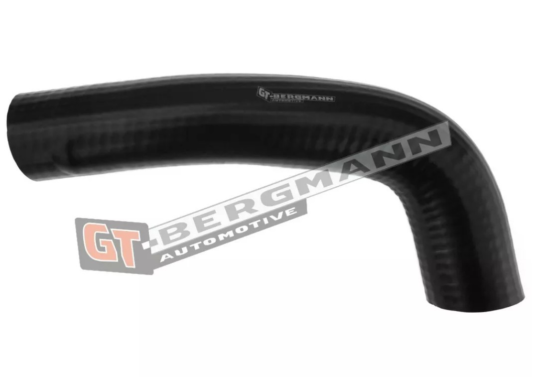 GT-BERGMANN Indsugningsslange GT52-291 GT-BERGMANN GT52-291 originale XG (XG) Indsugningsslange, luftfilter hvad koster