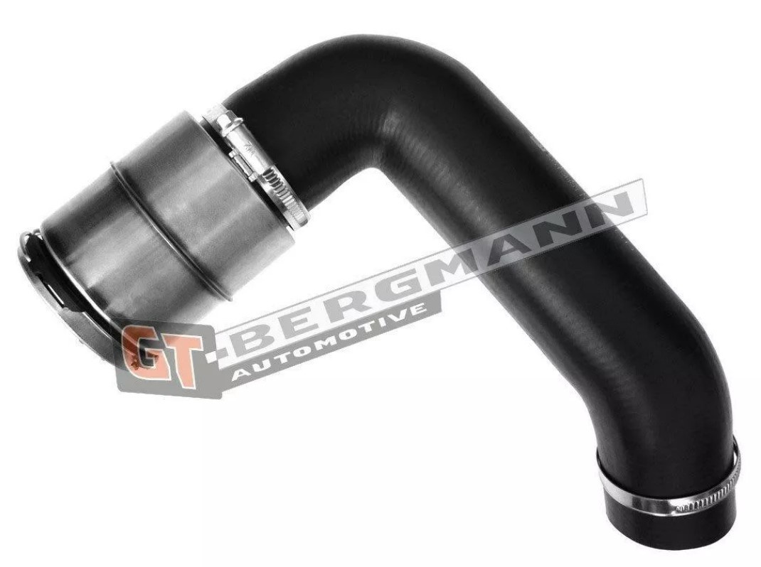 GT-BERGMANN Flessibile aria alimentazione GT52-481 GT-BERGMANN GT52-481 Manicotto turbina Opel Movano B Van originali prezzo