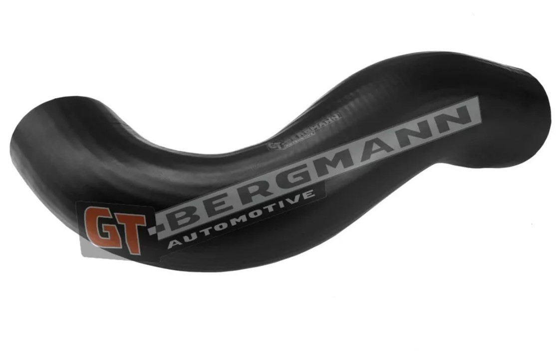 Ladeluftslange GT-BERGMANN GT52-510 GT-BERGMANN GT52-510: Ladeluftslange Nissan JUKE 2010