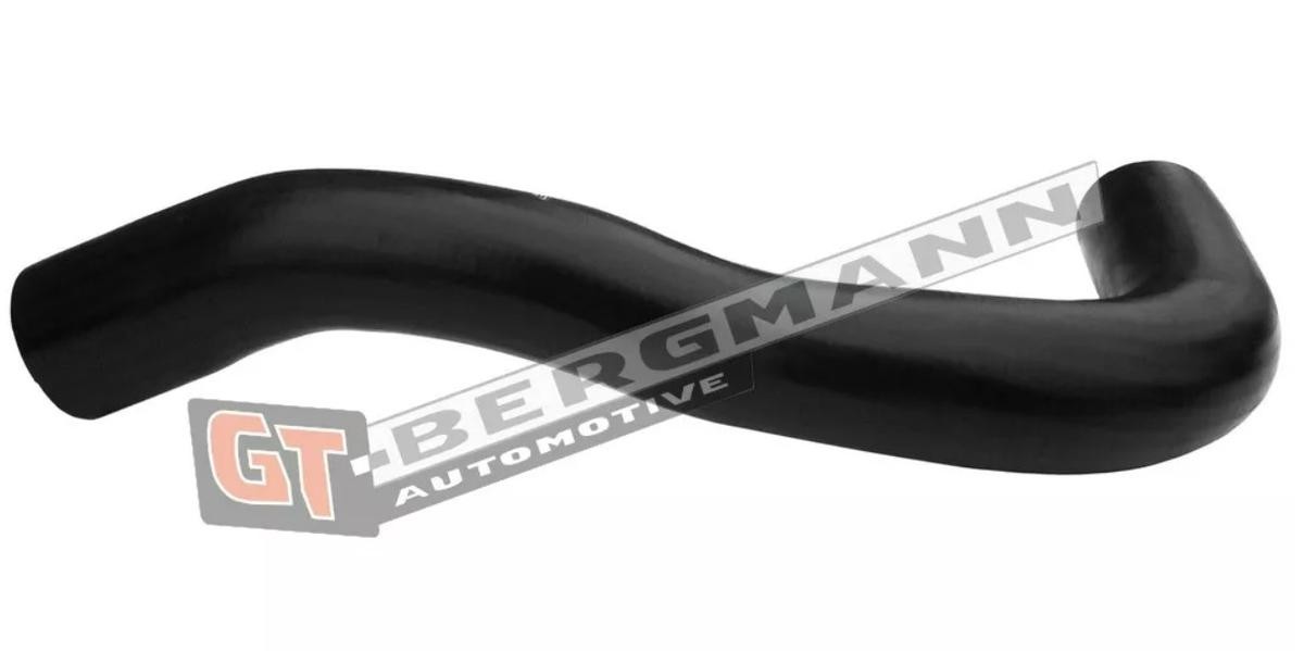 Tubo flexível do ar de sobrealimentação GT-BERGMANN GT52-550 GT-BERGMANN GT52-550 Tubo turbina FORD TRANSIT 2001