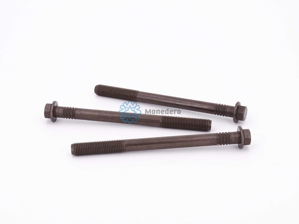 MONEDERO Sylindertoppskrue 60012900001 60012900001 Topplokksbolter PEUGEOT 508 MONEDERO