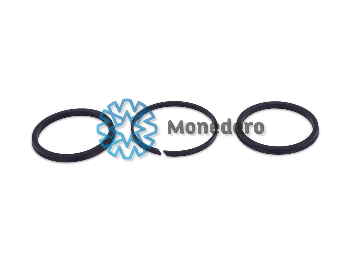 MONEDERO Kolbenringsatz 10029000128 10029000128 Ölabstreifringe SUZUKI SWIFT MONEDERO kaufen
