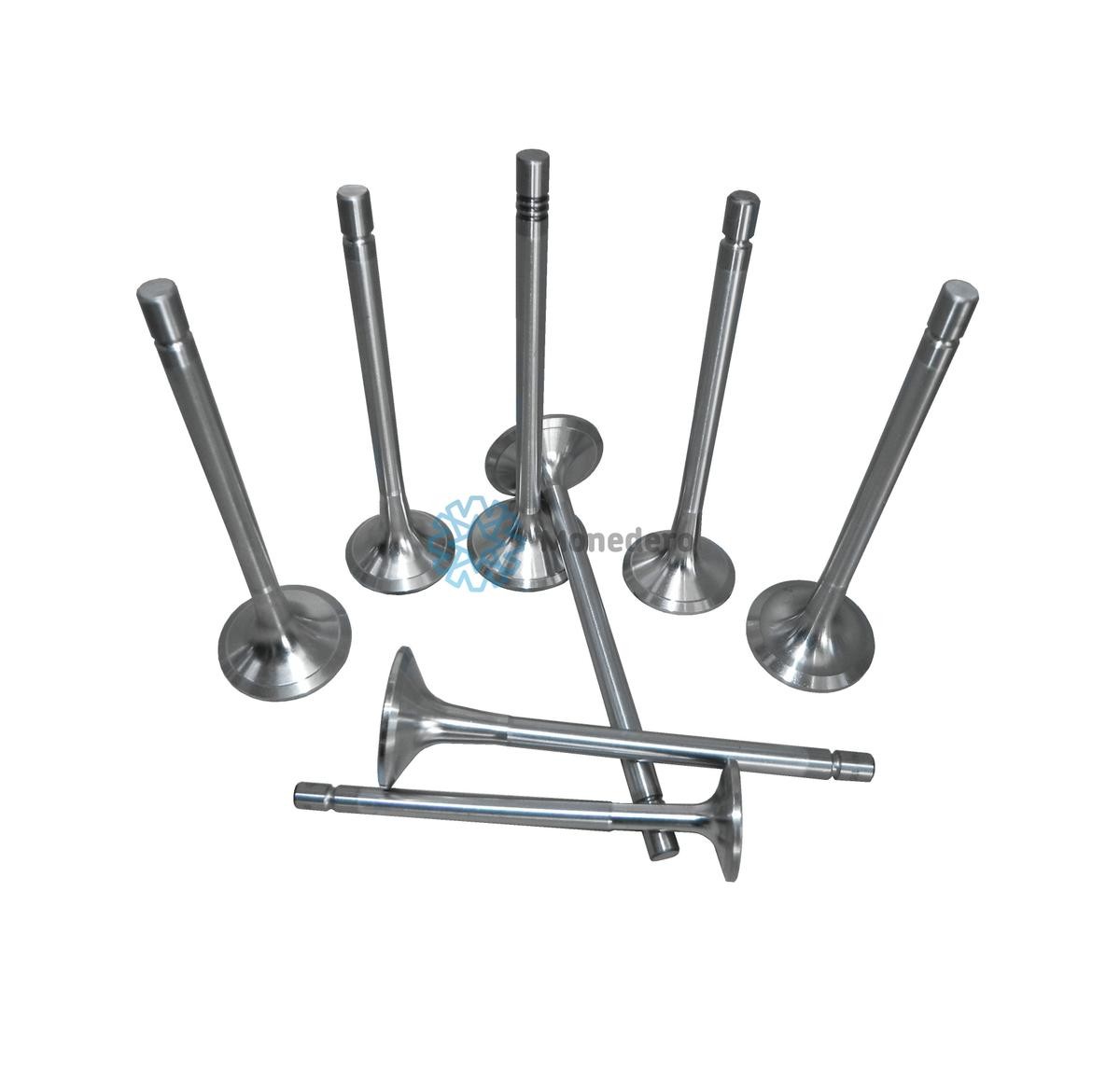 MONEDERO Avgasventil 10012200012 10012200012 MONEDERO avgasventil