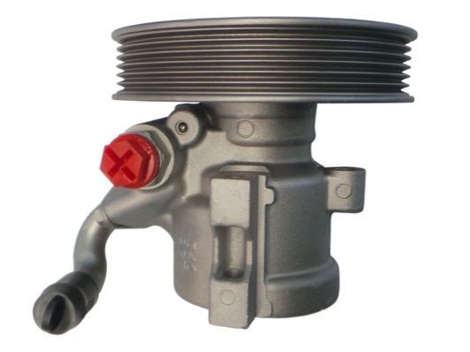 SPIDAN Servopumpe 52865 Styreservopumpe SPIDAN Chevrolet CORVETTE 52865