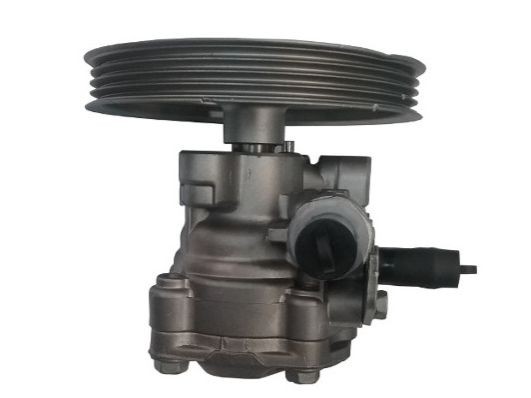 SPIDAN Roolivõimu pump 52880 Roolivõimendi pump SPIDAN Mitsubishi PAJERO SPORT 52880