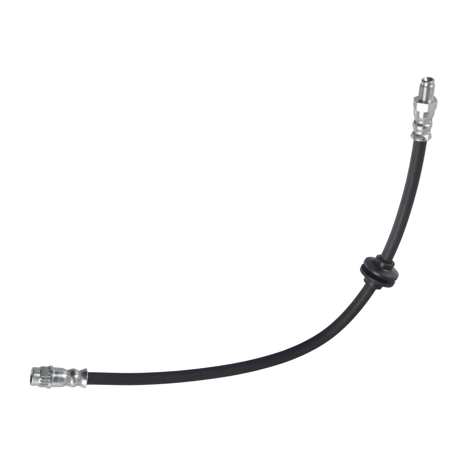 Remslang FEBI BILSTEIN 183611 FEBI BILSTEIN 183611 Remslangen NISSAN TERRANO 2017