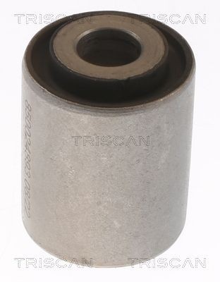 TRISCAN Suspension, bras de liaison 8500 24893 8500 24893 Silent bloc triangle CHEVROLET ASTRO TRISCAN