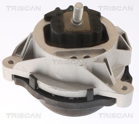 TRISCAN Motorfeste 8505 11109 Motorfeste TRISCAN X3 8505 11109 billige