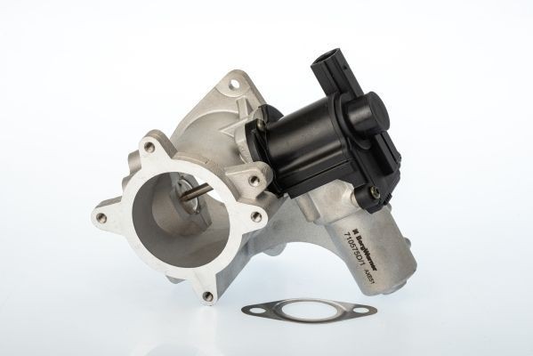 BTS TURBO Valvola EGR A100100 A100100 BTS TURBO EGR Volkswagen prezzo