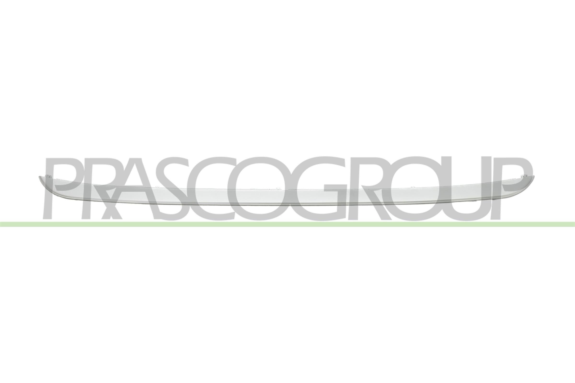 PRASCO Διακοσμητική / προστατευτική λωρίδα, μάσκα ψυγείου BM7021245 Μάσκα BMW E84 BM7021245 PRASCO
