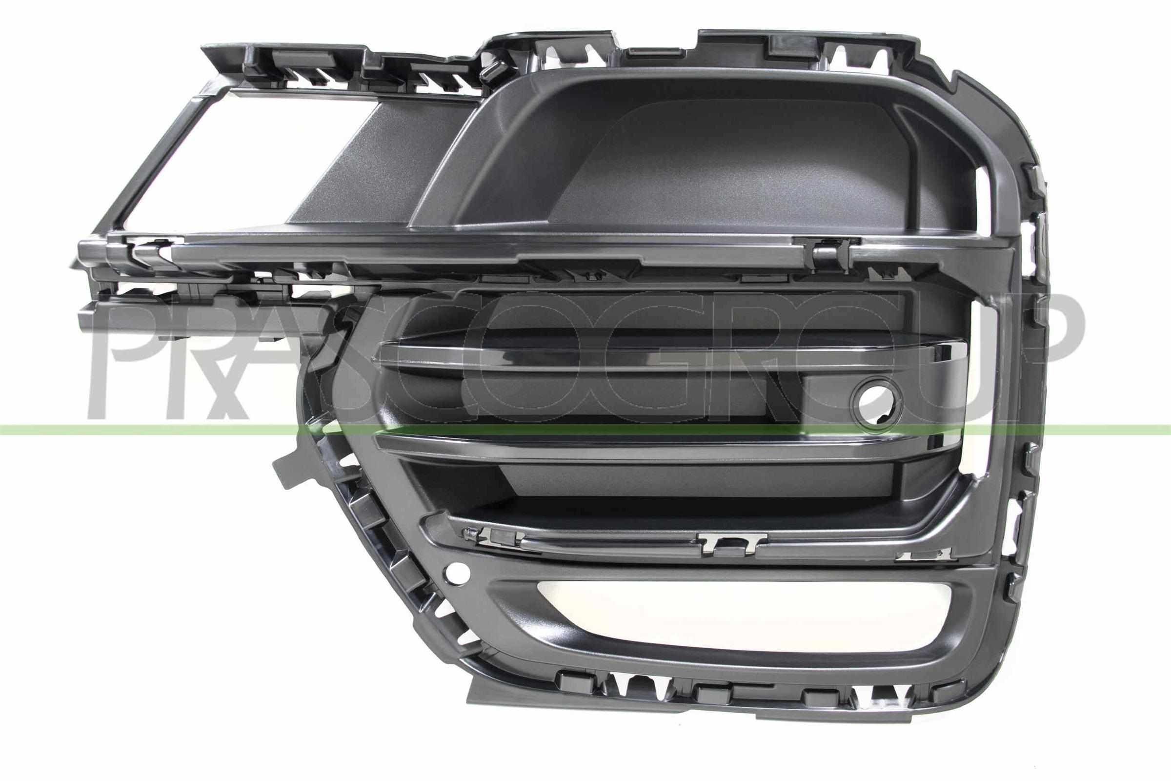 PRASCO Kofangergitter BM8282123 PRASCO BM8282123 Kofangergitter BMW X5 (G05) xDrive 30 d Mild-Hybrid 286 HK 2023