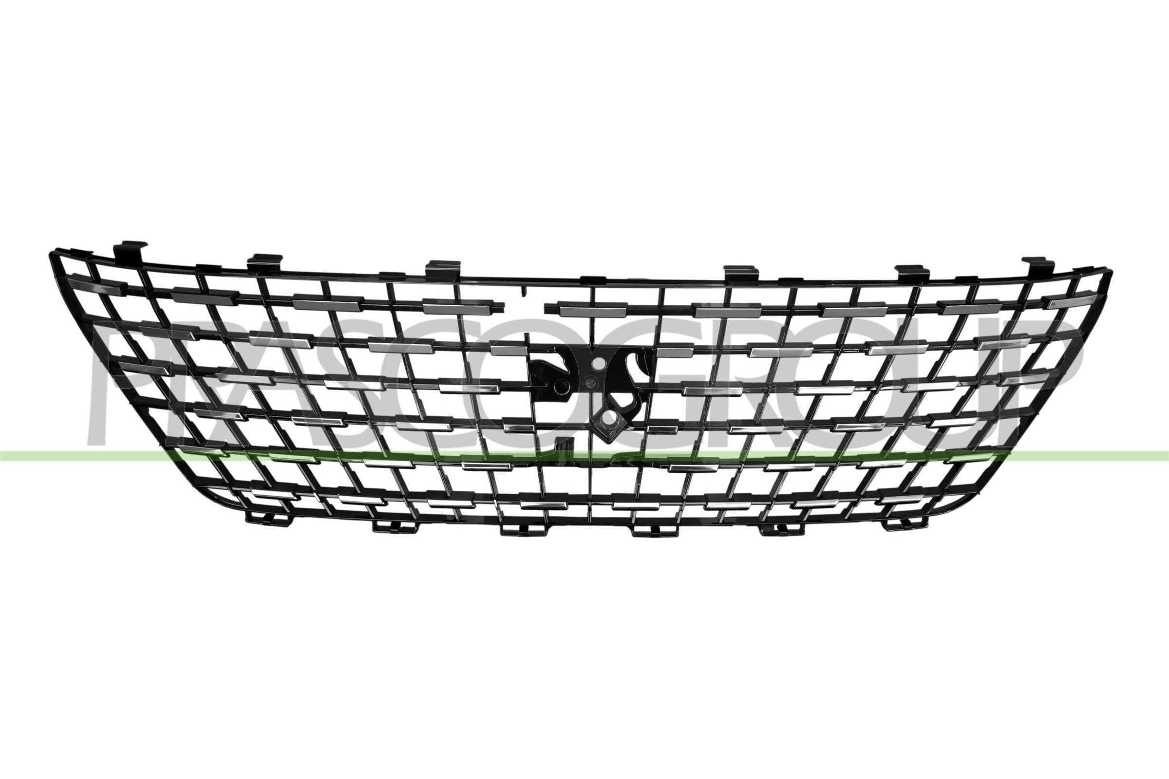 PRASCO Radiator Grille PG5242031 PG5242031 PRASCO radiator grille PEUGEOT 1007
