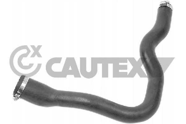 CAUTEX Ladeluftslange 775570 775570 CAUTEX Turboslange Dacia billige