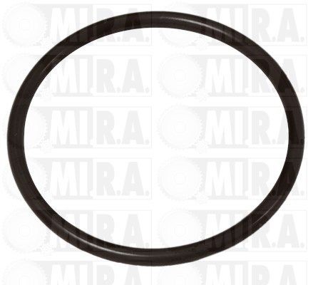 MI.R.A. Anello tenuta, Flessibile aria alimentazione 16/4473G 16/4473G Anello tenuta, tubo aria alimentazione PEUGEOT 407 MI.R.A. costo