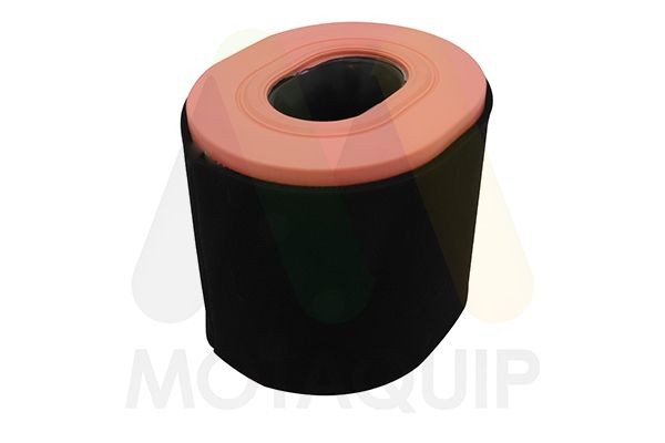 MOTAQUIP Õhufilter LVFA1737 Õhufilter MOTAQUIP Rover 45 LVFA1737