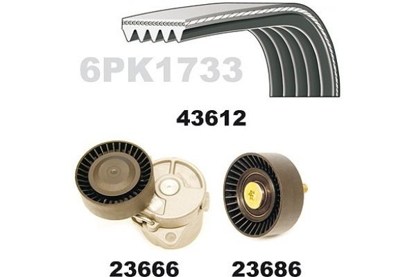 MAPCO Ķīļrievu siksnu komplekts 23613 MAPCO Ķīļrievu siksnu komplekts RENAULT 23613