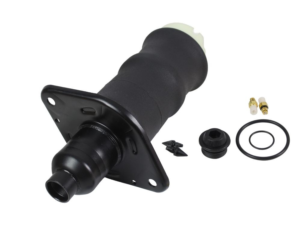ABAKUS Fole, suspensão pneumática 131-02-313 Kit suspensão a ar Audi 8H7, B6, 8HE, B7 131-02-313 ABAKUS