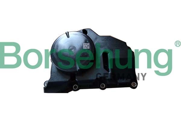 Borsehung Separador de óleo, respiro do cárter da cambota B11920 Válvula de ventilação do cárter Borsehung Ford TRANSIT CUSTOM B11920