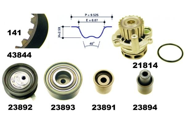 MAPCO Distributieriem set + waterpomp 41844 41844 Distributieriem set SKODA ROOMSTER MAPCO