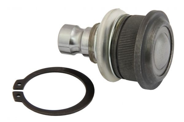 MAPCO Rótula de suspensão 49151 MAPCO 49151 Articulação de suspensão guia Renault Clio 3 baratos