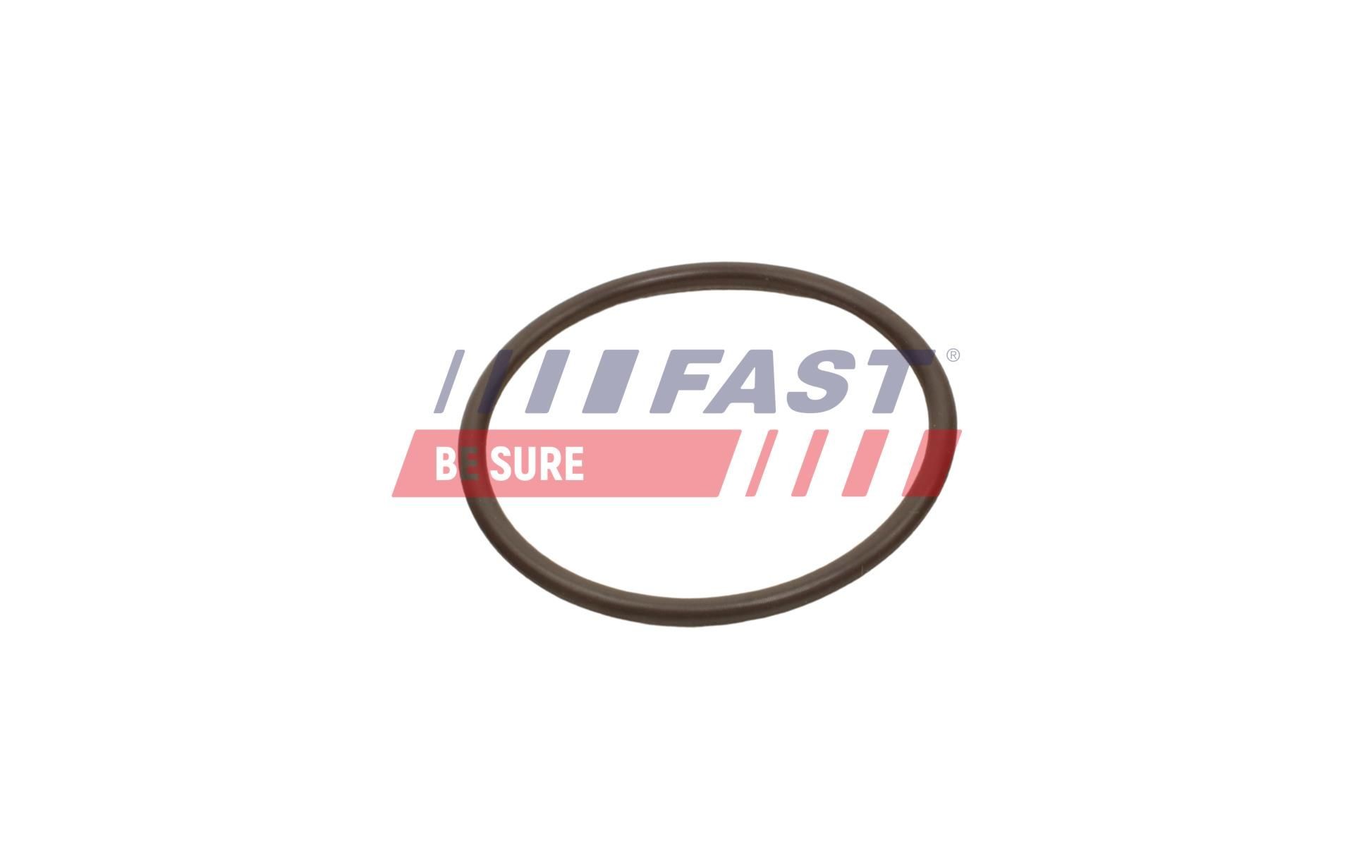 FAST Pakningsring, turboladerslange FT49933 Pakningsring, turboladerslange FAST Mercedes-Benz 123-serie FT49933