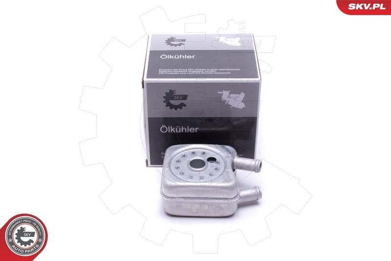 ESEN SKV Ölkühler 31SKV203 31SKV203 ESEN SKV Ölkühler VW Passat 32B Kosten