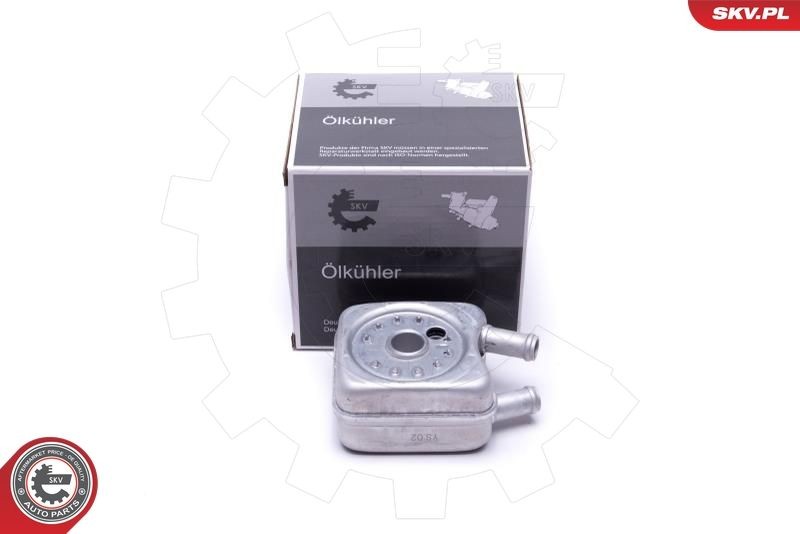 ESEN SKV Radiatore olio motore 31SKV204 31SKV204 ESEN SKV Radiatore olio MINI prezzo