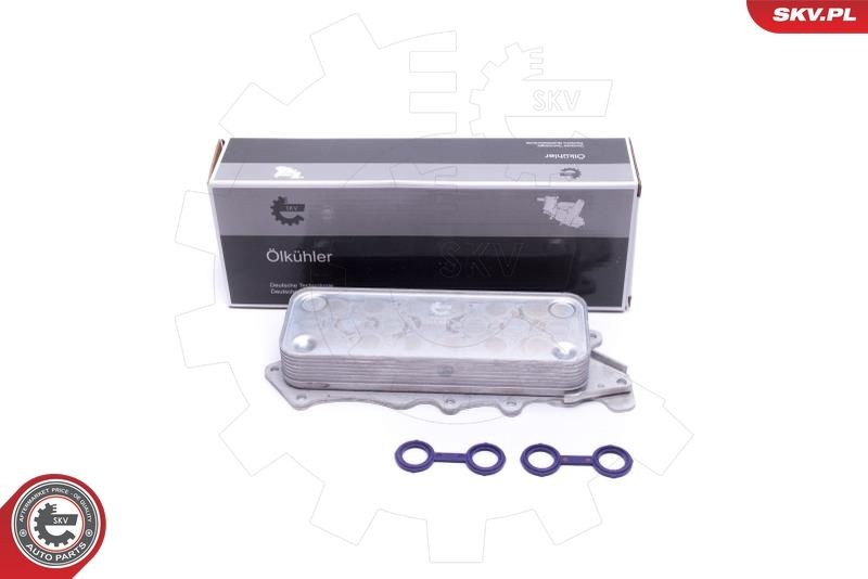 ESEN SKV Radiatore olio motore 31SKV217 31SKV217 ESEN SKV Radiatore raffreddamento olio motore LAND ROVER prezzo