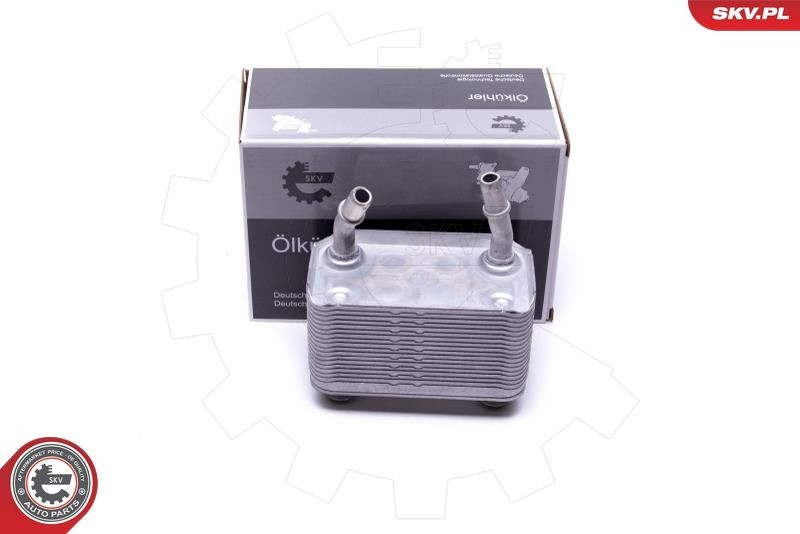 Oliekøler, motorolie ESEN SKV 31SKV220 ESEN SKV 31SKV220: Olieradiator BMW X5 2004