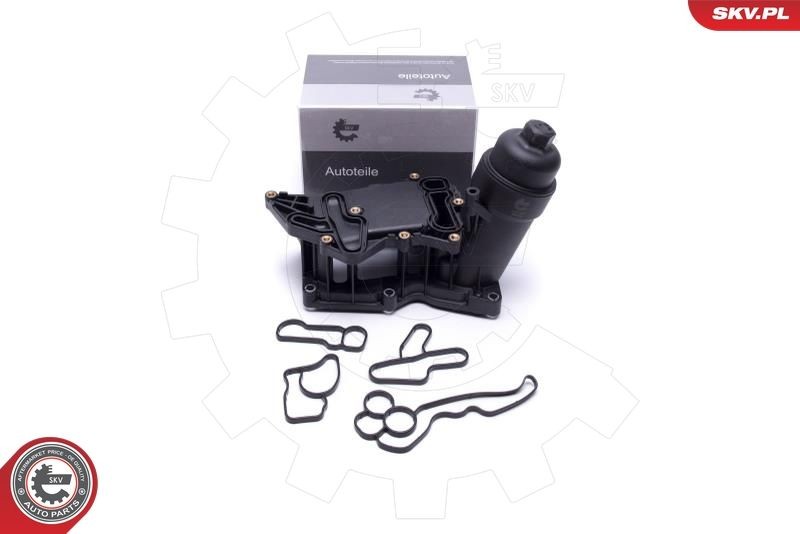 ESEN SKV Boîtier de filtre à huile 31SKV232 ESEN SKV 31SKV232 Couvercle de filtre à huile BMW F32 pas cher