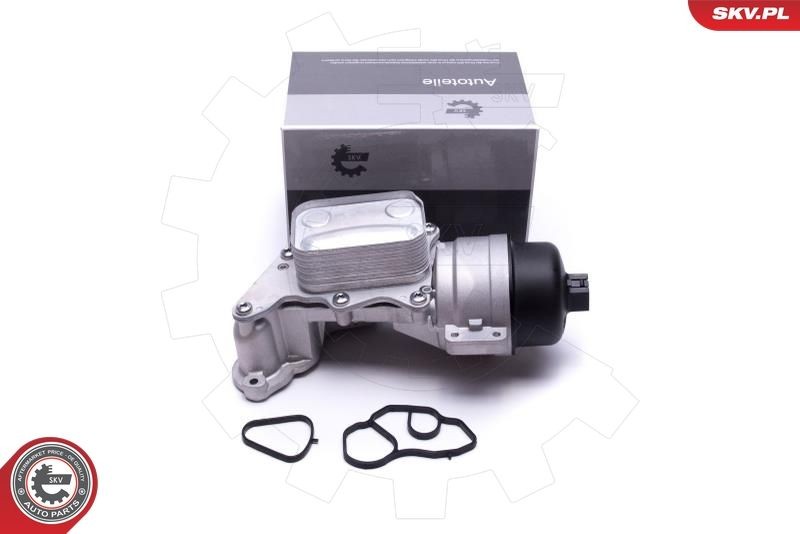 ESEN SKV Περίβλημα, φίλτρο λαδιού 31SKV233 ESEN SKV 31SKV233 Θήκη του φίλτρου λαδιού Citroën C5 3 Sedan φθηνά