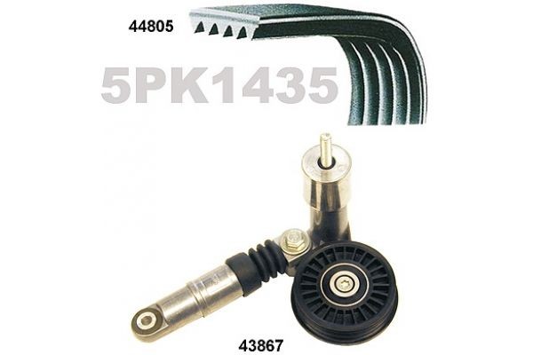 MAPCO Poly V-riem set 73805 Poly v riem set MAPCO JEEP 73805