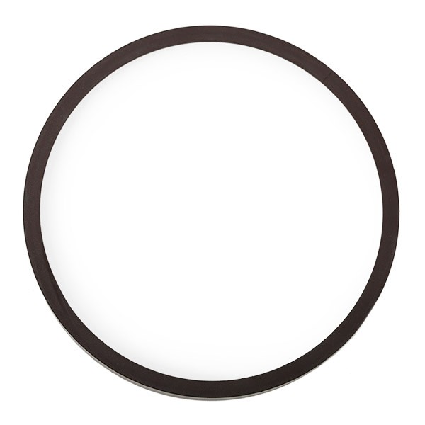 MAPCO ABS Ring 76851 Chrysler FJ Sensor Raddrehzahl 76851 MAPCO