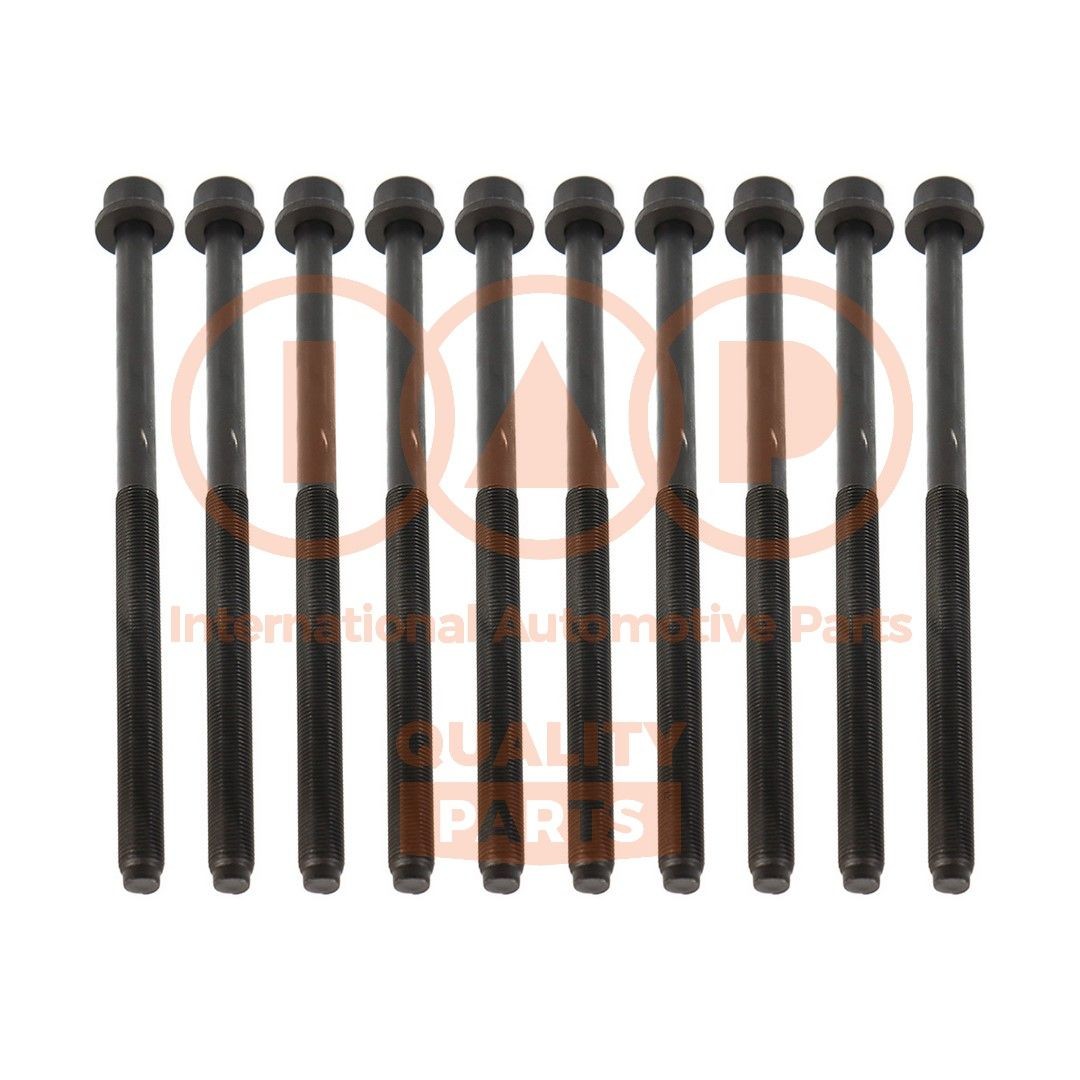 IAP QUALITY PARTS Klapikaanekruvikomplekt 119-09040 IAP QUALITY PARTS 119-09040 Plokikaane poldid Opel Insignia A Country Tourer hind